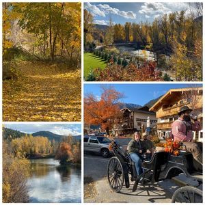 Meet your Posher, Jenny